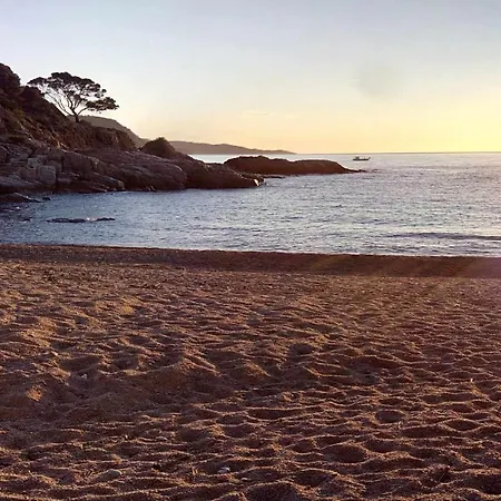 Carabela - Terraza Y Vistas Al Mar En Cala Salions *
